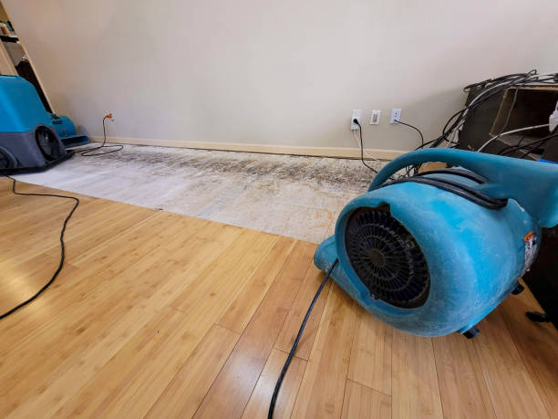 Professional Emergency Water Damage technician working in Monroeville, PA